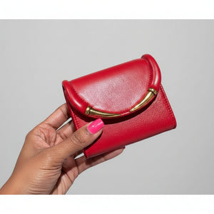 Roberto Cavalli Fang closure wallet or Card Case